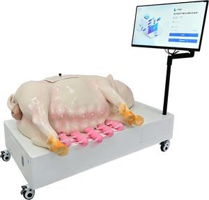 simulador veterinario