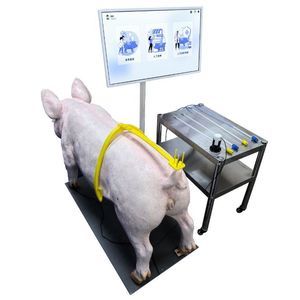 simulador veterinario
