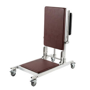 sillón levantapersonas verticalizador
