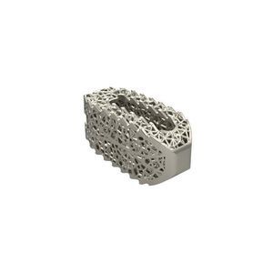 caja intersomática lumbar