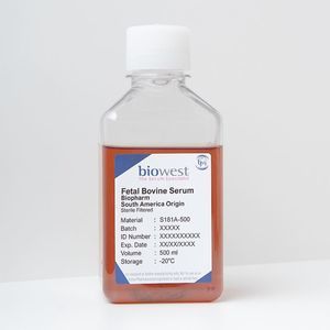 reactivo suero fetal bovino 1
