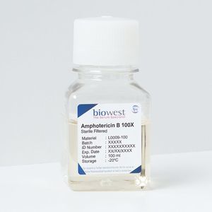 reactivo anfotericina B