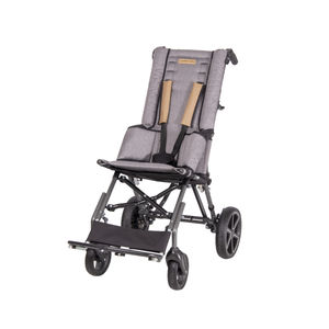 carrito para niños con discapacidad