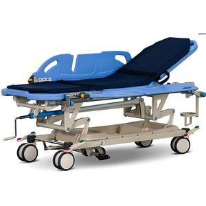 camilla convertible 1