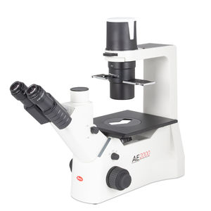microscopio óptico 1