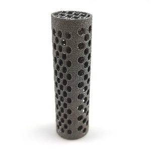caja intersomática veterinaria cervical