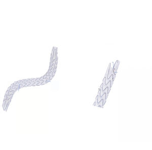 stent ureteral