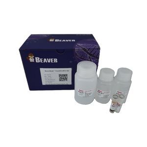 kit de reactivos tampón de lavado 1