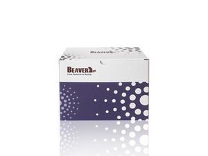 kit de reactivos de microesfera 1