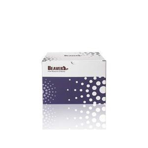 kit de reactivos de bolas magnéticas 1
