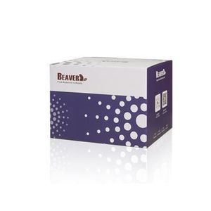 kit de reactivos de bolas magnéticas 1