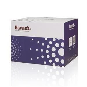 kit de reactivos de bolas magnéticas 1