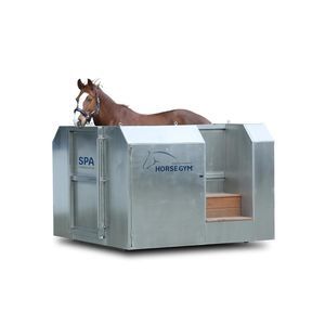 spa animal para équidos