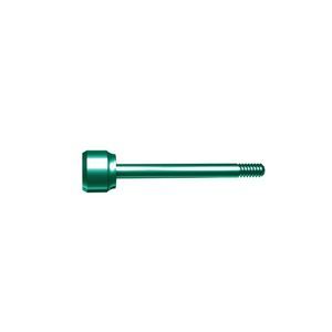 tornillo de transferencia recto