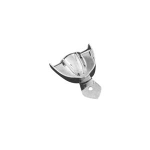 molde dental dentadura parcial
