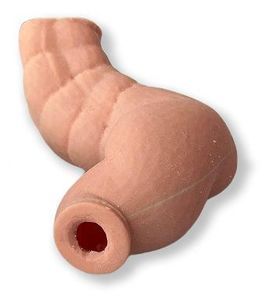 fantoma de colon