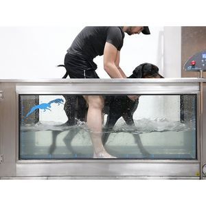 cinta de correr veterinaria sumergida 1