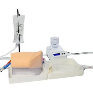modelo vascular de arteria femoral