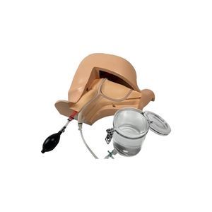 simulador de anatomía