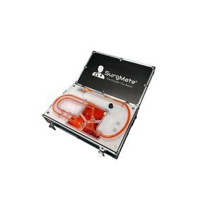 modelo vascular de sistema circulatorio