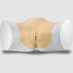 modelo anatómico endometrial