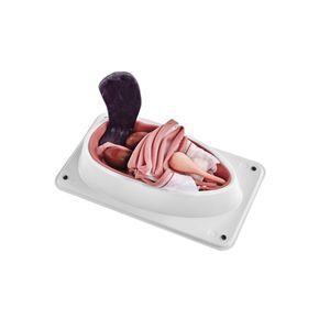 simulador de esterilización canina