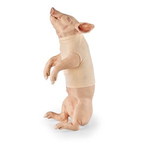 simulador de punción venosa