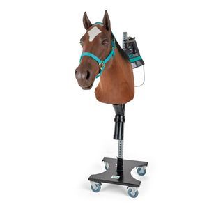 maniquí de prácticas para la atención veterinaria