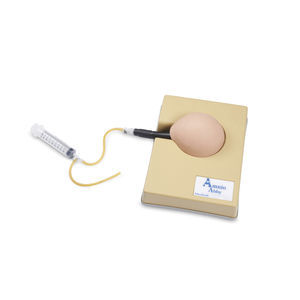 simulador ecoguiado