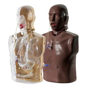simulador de nutrición 1