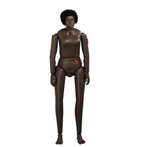 maniquí de prácticas de anatomía