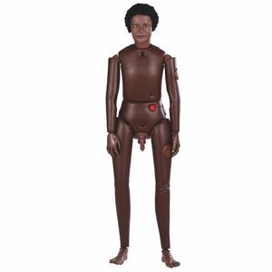 maniquí de prácticas de anatomía