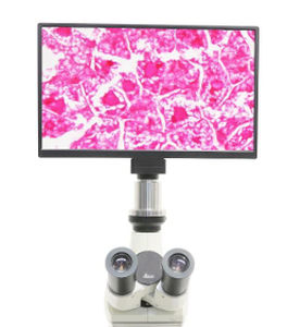 cámara para microscopía 1