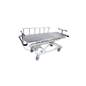 carro de disimulación 1