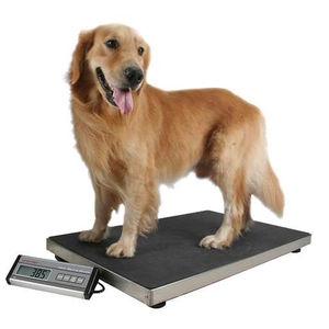 balanza veterinaria electrónica