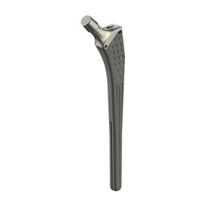vástago femoral de revisión