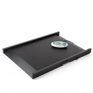 báscula electrónica 1