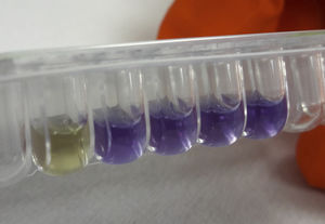 prueba rápida de susceptibilidad antimicrobiana