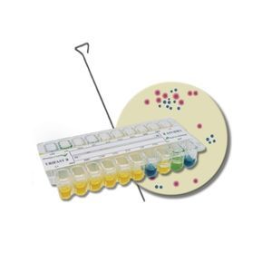 prueba rápida para prueba de susceptibilidad antibiótica 1