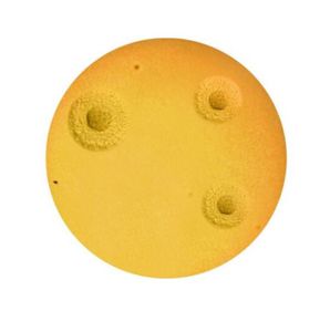 reactivo gel de agar 1