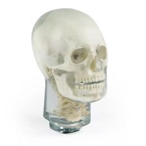 fantoma de prueba para radiología