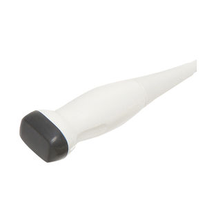 sonda para ecografía phased array 1