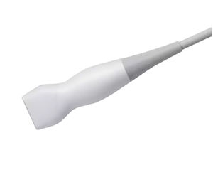 sonda para ecografía phased array 1