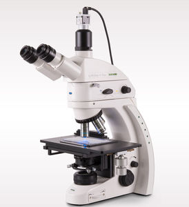 microscopio por inmunofluorescencia