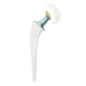 vástago femoral no cementado