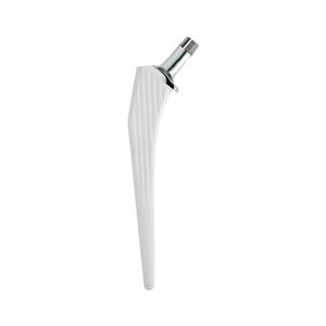 vástago femoral no cementado 1