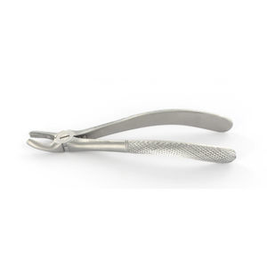 fórceps de extracción dental para molares 1