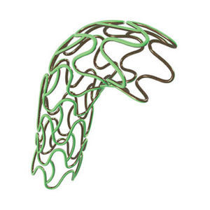 stent arteria coronaria