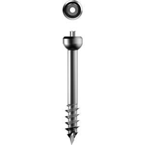 tornillo de compresión ósea para fragmentos óseos grandes