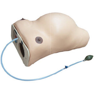 maniquí de prácticas obstetricoginecológico